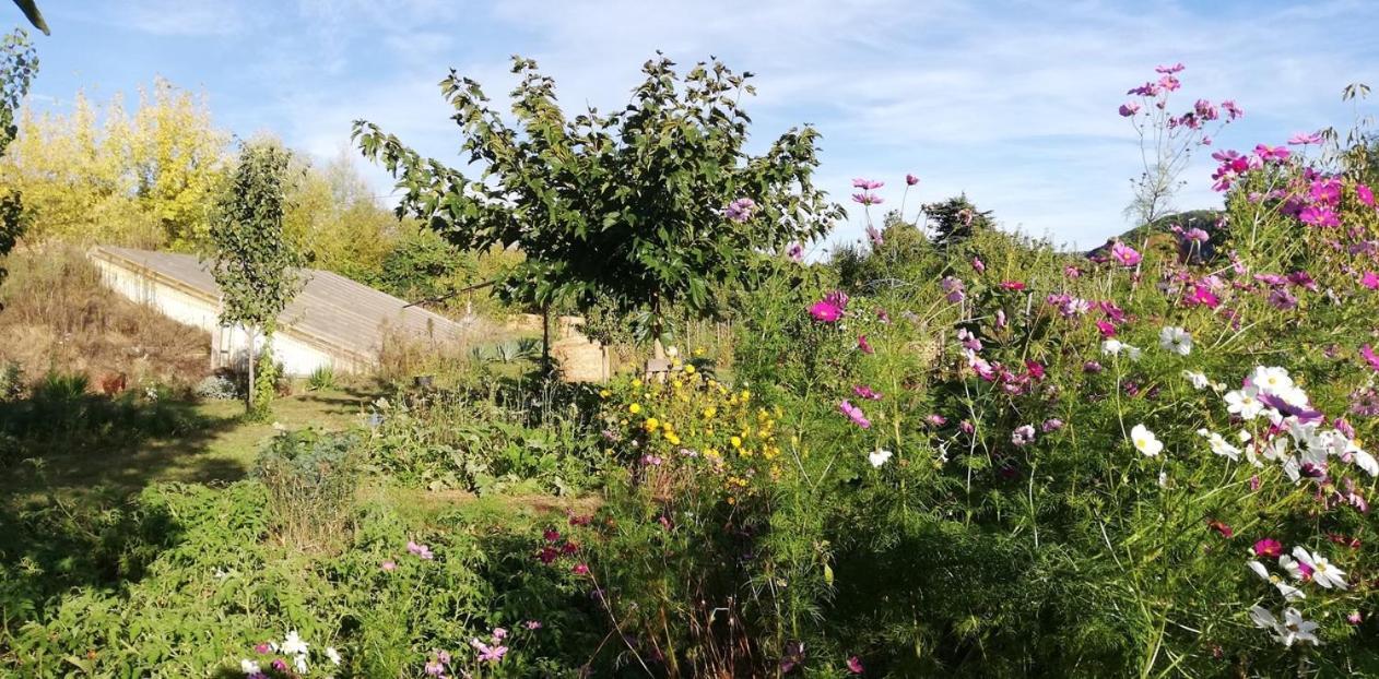 Paysannerie Des Versanes - Et